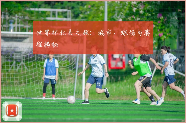 世界杯北美之旅:城市、球场与赛程揭秘